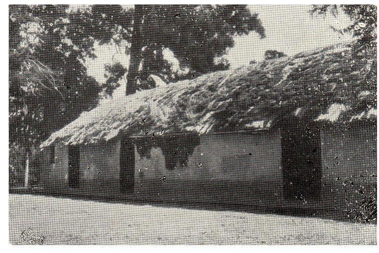 Estancia Los Cerrillos hacendado Ortiz de Rozas Juan Manuel de ...